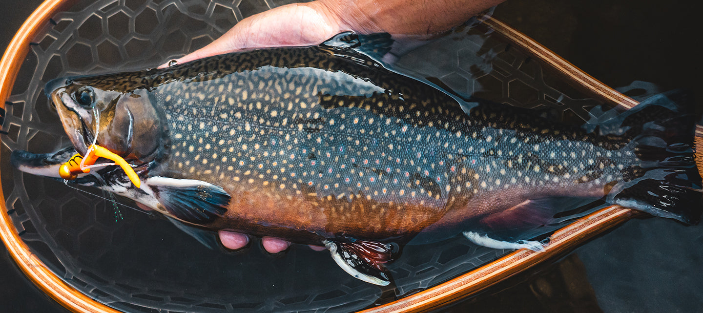 DAIWA SILVER CREEK ROD