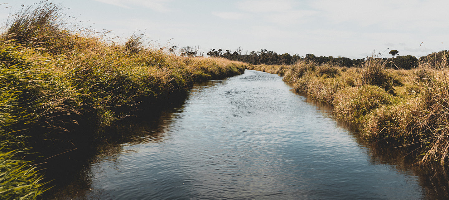 DAIWA SILVER CREEK ROD