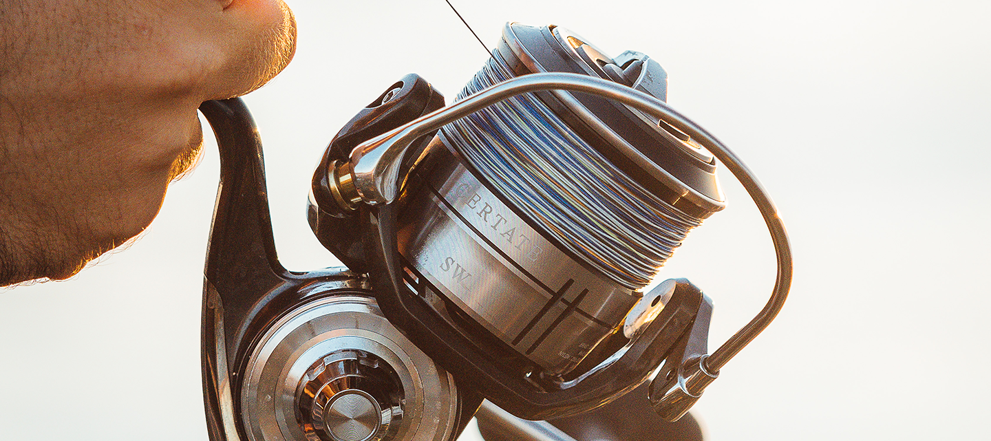 DAIWA SALTIGA 12 EX SI3+ -GREY