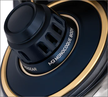 Daiwa 25 SALTIGA