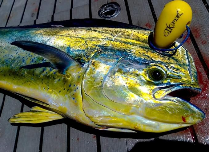 The IkiPik | Ikejime Fish Spike Plastic Grip & Bottle Opener