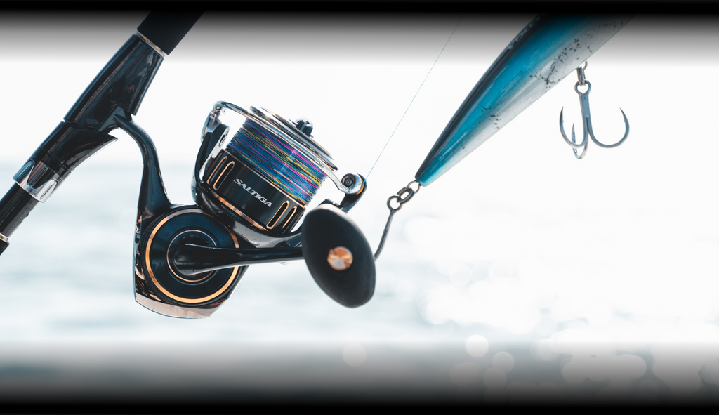Daiwa 25 SALTIGA