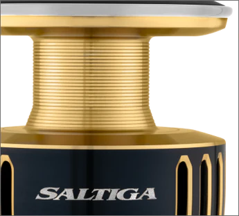 Daiwa 25 SALTIGA