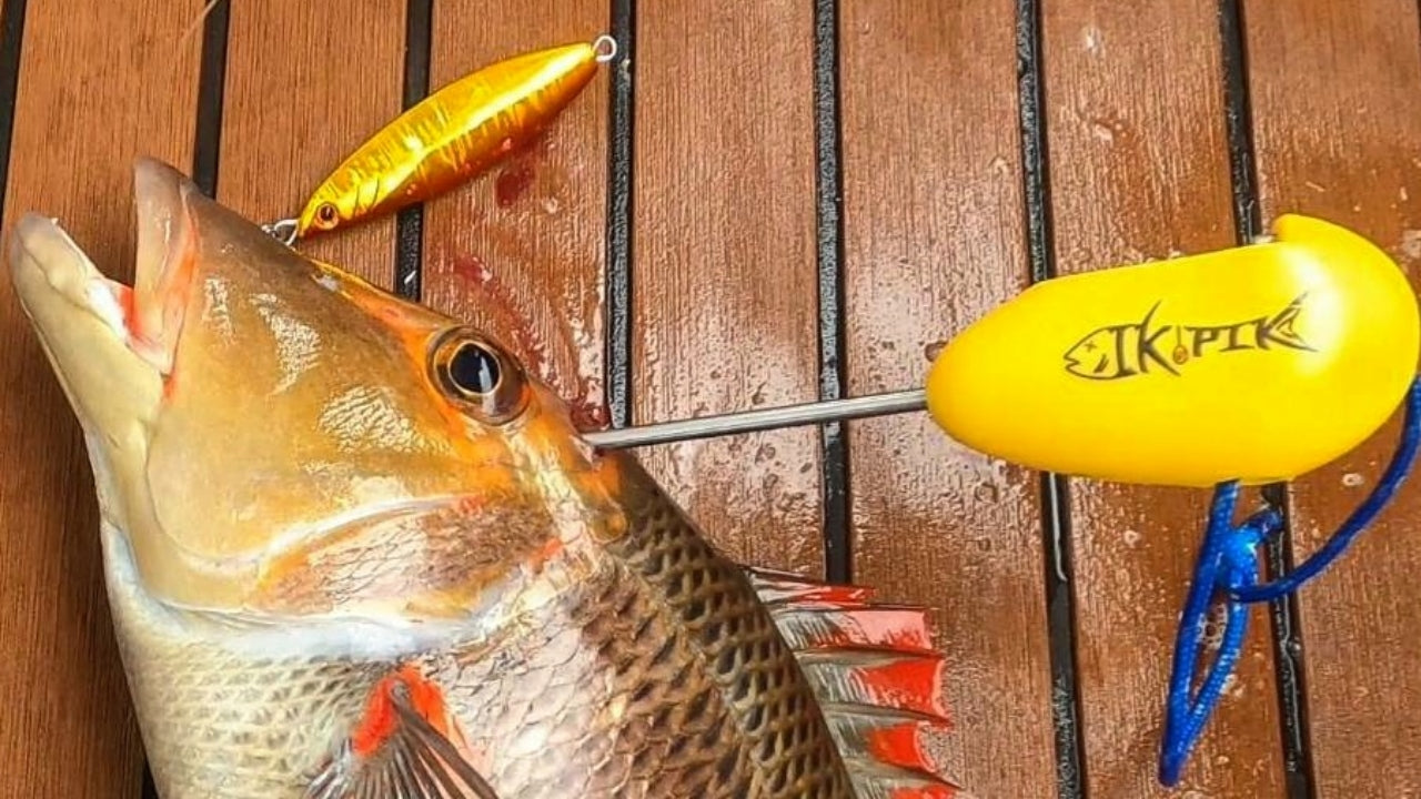 The IkiPik | Ikejime Fish Spike Plastic Grip & Bottle Opener