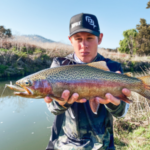RAPALA COUNTDOWN LURES