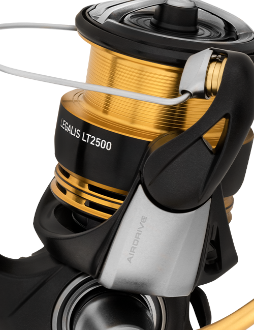 Daiwa 23 LEGALIS