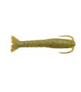 shrimpa