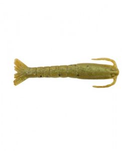 shrimpa