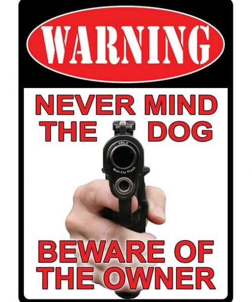 never-mind-the-dog-web-500x639