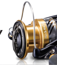 nasci_v1_m56577569831024300-png-swimg-detail