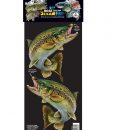 small-dual-retro-trout_web