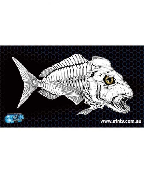 snapper-skeleton_web-500x639