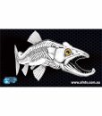 trout-skeleton_web-500×639