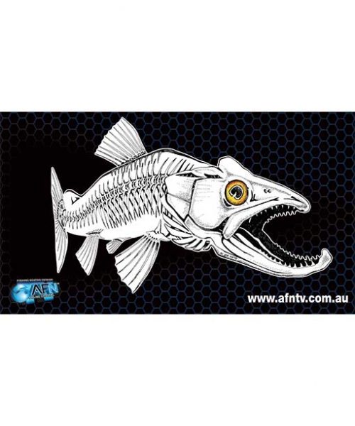 trout-skeleton_web-500x639